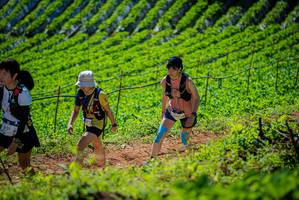 BIB: 3121
                            <button type="button" onclick="openModal(19163127)" class="btn btn-primary btn-sm float-right btn-popup" data-toggle="modal" data-target=".modal-high-quality">
                        <i class="fas fa-shopping-cart"></i> Add to Cart
                    </button>
                                            <button type="button" onclick="isThisMe(19163127, true)" class="btn btn-success btn-sm float-right btn-popup btn-isme hidden" data-toggle="tooltip" data-placement="bottom" title="นี่คือรูปของคุณใช่ไหม คลิกที่นี่เพื่อเอาเข้าอัลบั้ม">
                        <i class="fas fa-plus"></i> Add to album
                    </button>
                    <button type="button" onclick="isThisMe(19163127, false)" class="btn btn-warning btn-sm float-right btn-popup btn-isnotme hidden">
                        <i class="fas fa-ban"></i> Remove from album
                    </button>